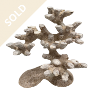 Bonsai Reef Scape 014