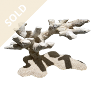 Bonsai Reef Scape 028