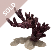 Bonsai Reef Scape 046