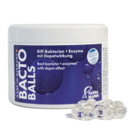 Bacto Balls 100 ml