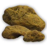 Rocks